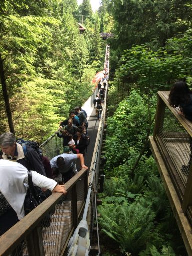 Suspension bridge in Canada