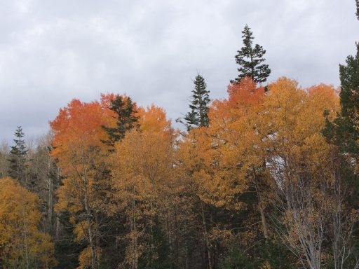 New Hampshire in the fall